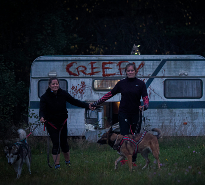 Camp Canis Creepy | News & Infos