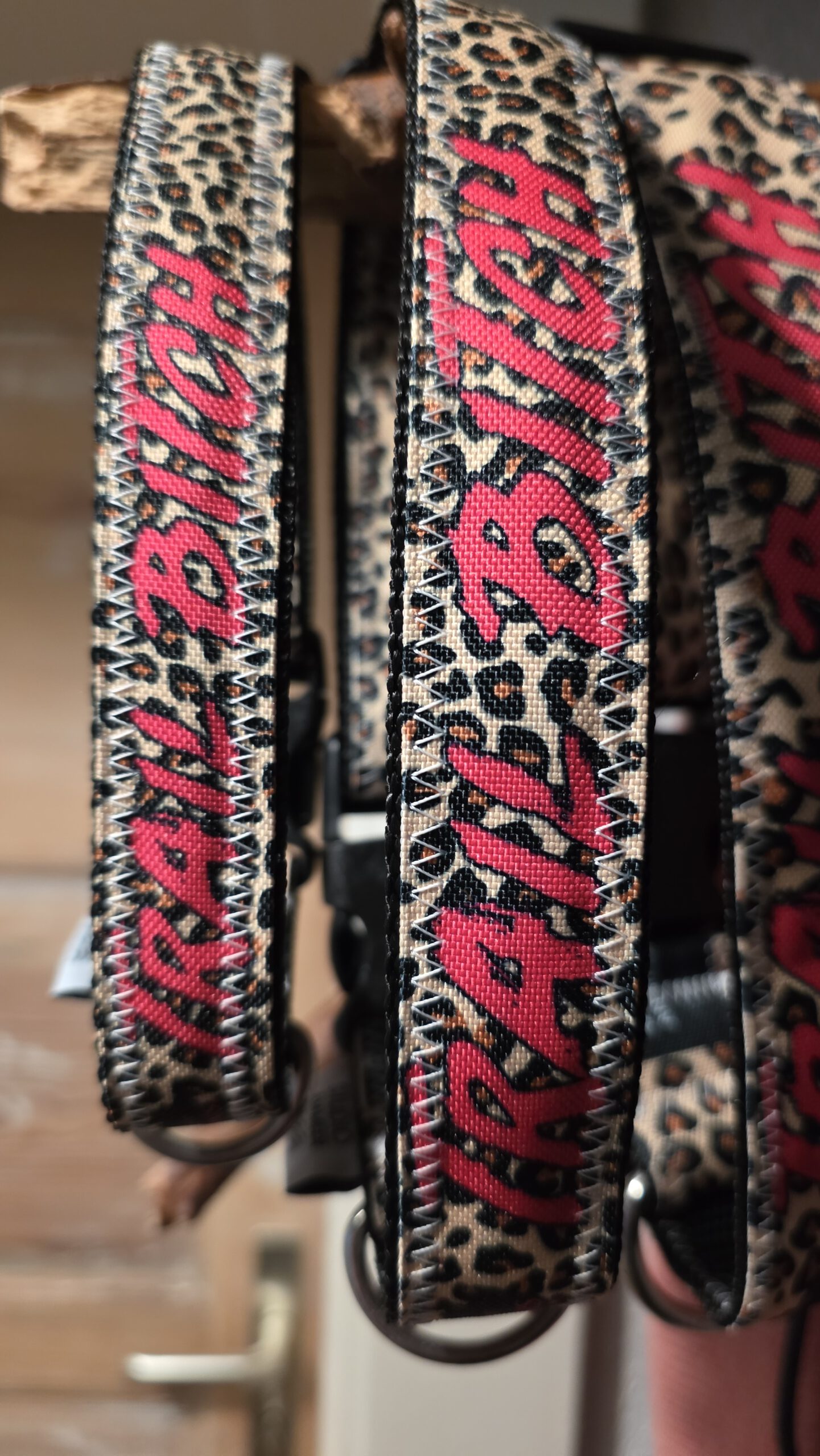 Segeltuch Halsband – Bild 2