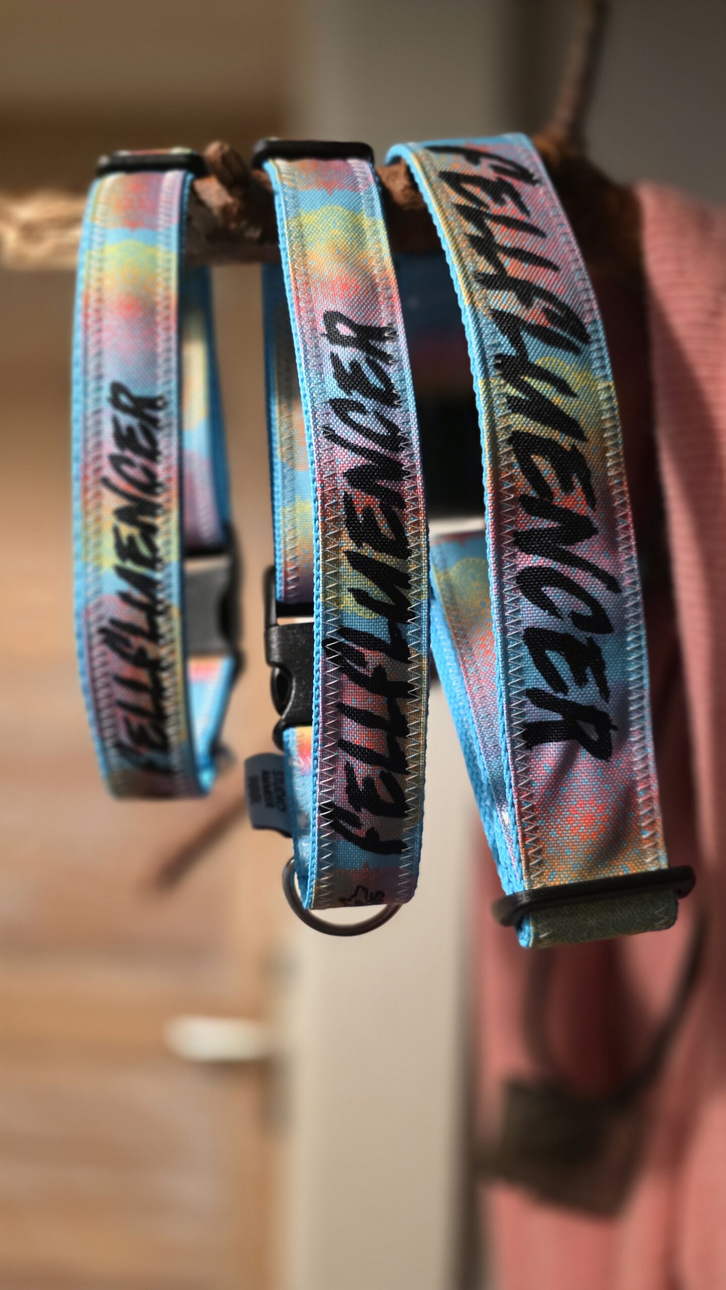 Segeltuch Halsband – Bild 4