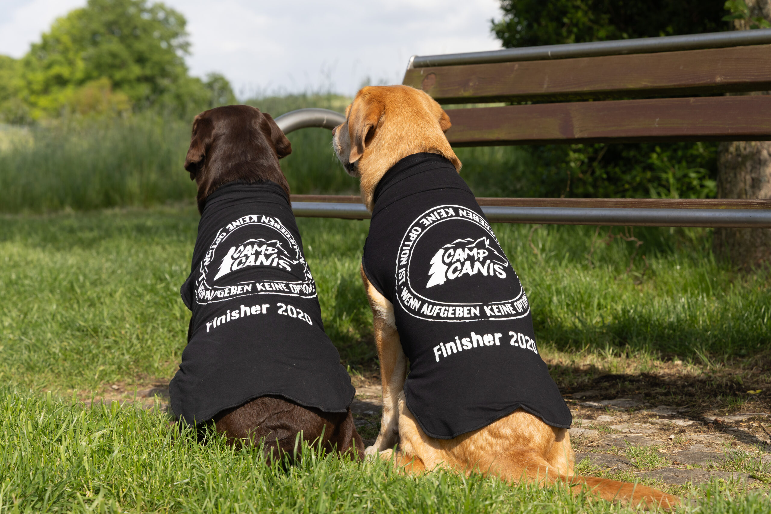 Hundeshirt "Wenn Aufgeben..." – Bild 5