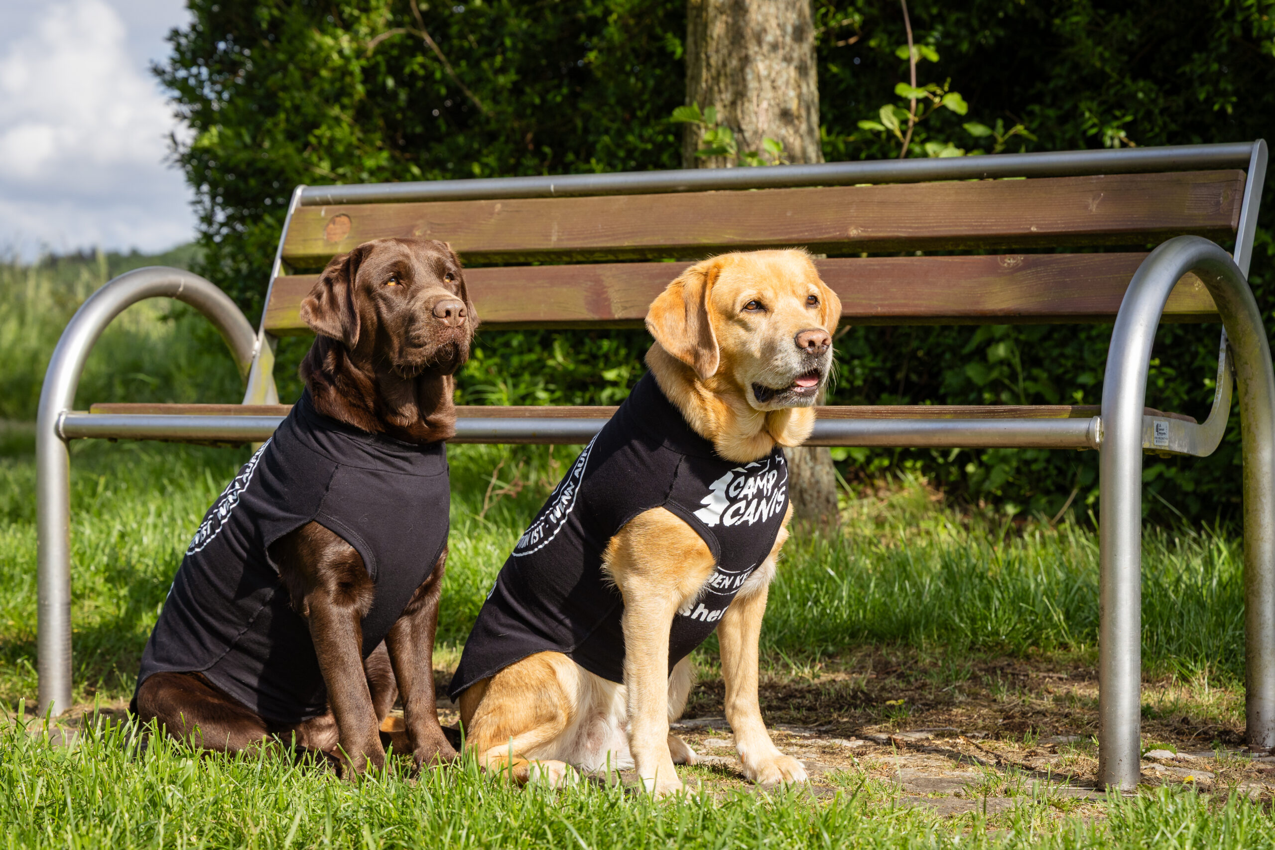 Hundeshirt "Wenn Aufgeben..." – Bild 4