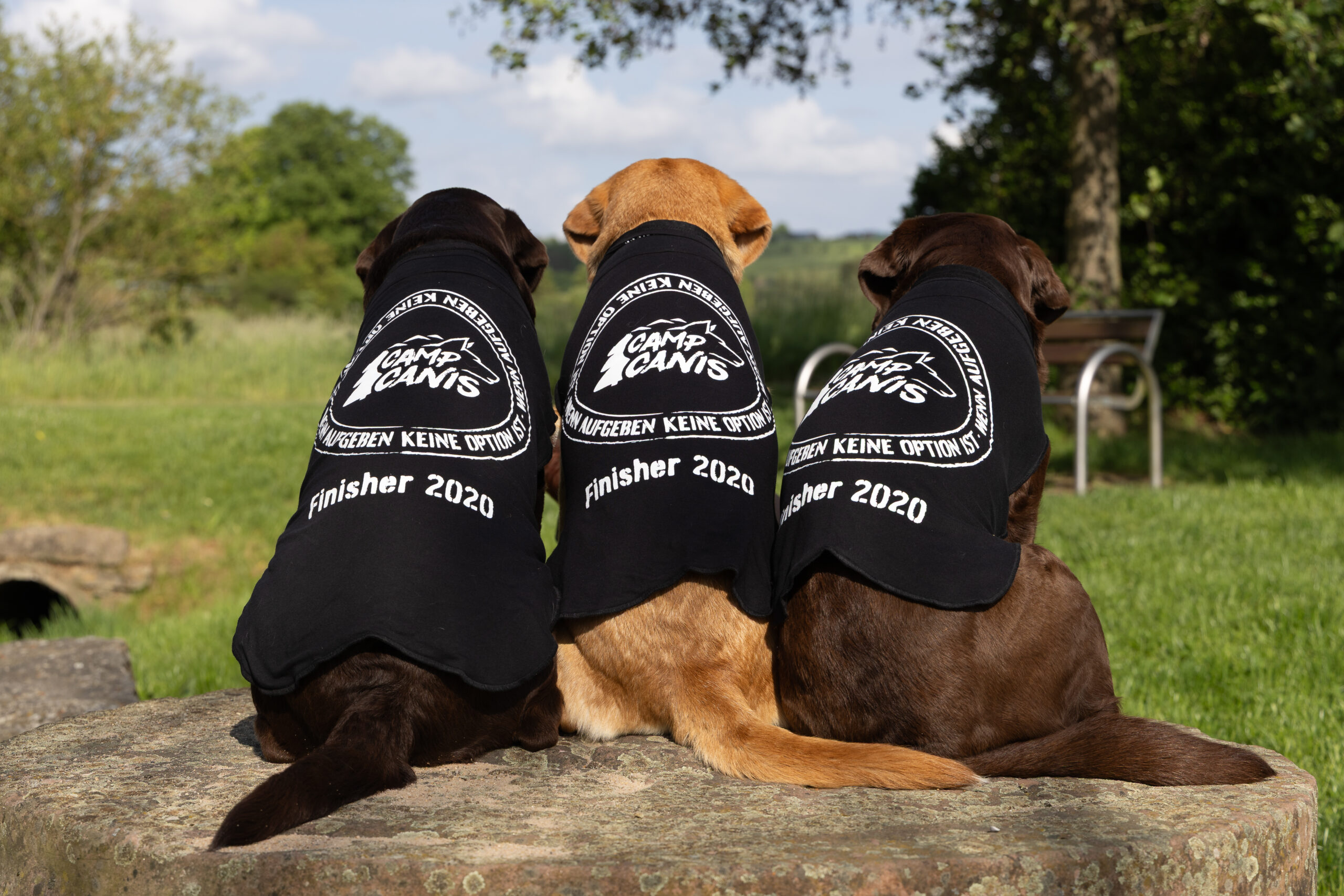 Hundeshirt "Wenn Aufgeben..."