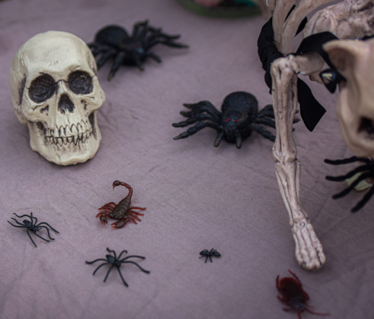 Bootstrap news template